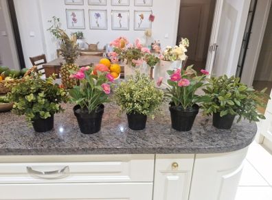 Artificial plants