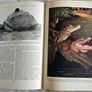 Animal Life of the World, illustrated Book Image 3