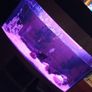 Juwel Vision Tank + Stand 260 Litres Image 7