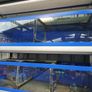 Fish shop cabinet with sump Image 2