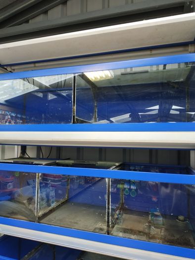 Fish shop cabinet with sump