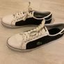Men's Lacoste Shoes Image 2