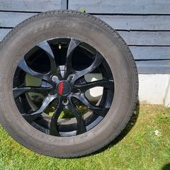 Wolfrace Alloys