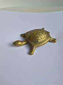 Brass Tortoise