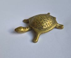 Brass Tortoise
