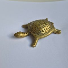 Brass Tortoise