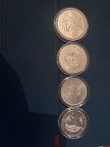 1oz silver Coins
