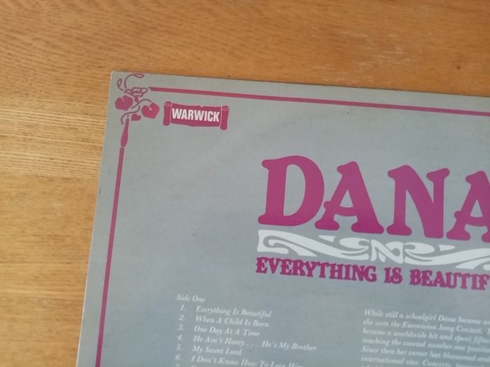 DANA. Everything Is Beautiful. 1980 UK Pressing. Warwick Records. LP. Vinyl. Record. Album.