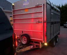 Immaculate 10Ft X 6Ft6 Trailer