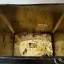 Vintage Shell Car Care Kit Tin Image 6