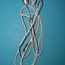 Only 1 Each!! - Brand New Wired Earphones Image 5