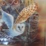 Owl holographic picture Image 4