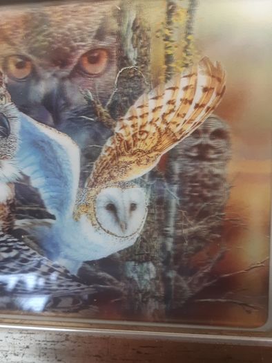 Owl holographic picture