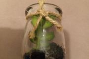 mini faux succulent