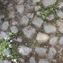 Cobbles/Rounded Stones Image 2