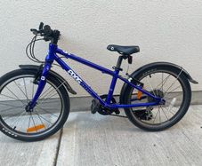 Frog Bike