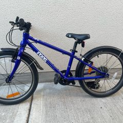 Frog Bike