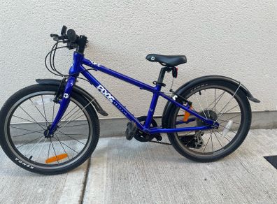 Frog Bike