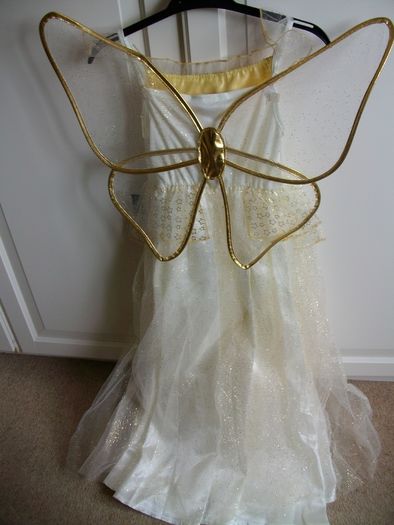 Gold Fairy Dress - NEW
