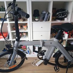 Fiido d 11 electric bike
