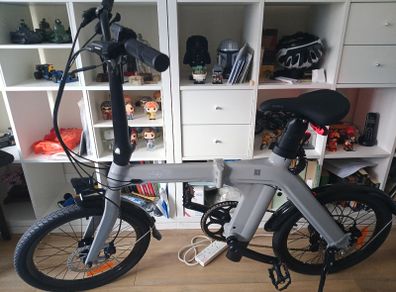 Fiido d 11 electric bike