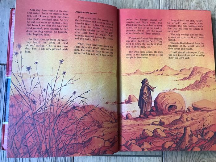 The Ladybird New Testament