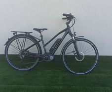 Bosch Electric Bike