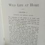 Wild Life at Home: How to Study and Photograph It by R. Kearton (GT806) Image 5