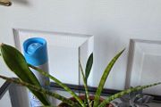 Plants set