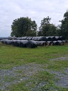 Round bales silage
