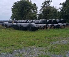 Round bales silage