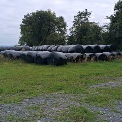 Round bales silage