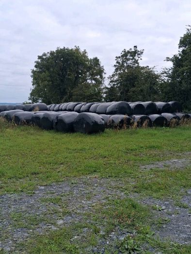 Round bales silage