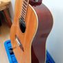 Sire R3 Series, Electro acoustic, Zebra electrics Image 8