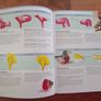 Needle Felting Book Image 4