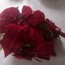 4PC X Poinsettia Artificial Flowers Image 5