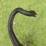 Yamaha Aerox 100 LeoVince exhaust Image 4