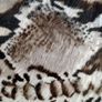 Genuine leather bag Vera Pelle natural fur Image 9