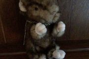 Bnwts small  rat plush