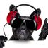 DJ Ozzy