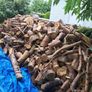 Firewood 250 Euros Image 4