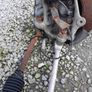 Front Rh Passenger Wheel Hub & Control Arm Image 2