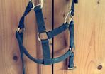 Mackey nylon headcollar