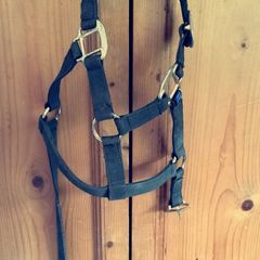Mackey nylon headcollar