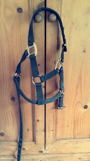 Mackey nylon headcollar