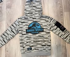 Children's Hoodie