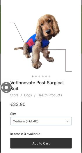 Dog surgery suit