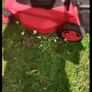 36V Lithium-Ion Cordless Lawnmower Image 3