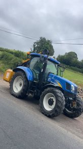 Hedge cutting