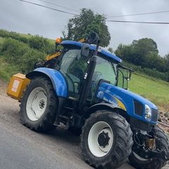 Hedge cutting